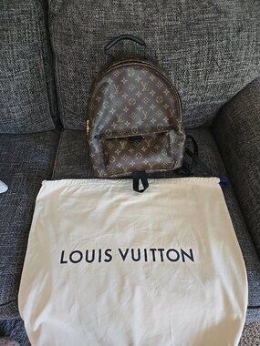 Louis-vuitton Palm Springs MM